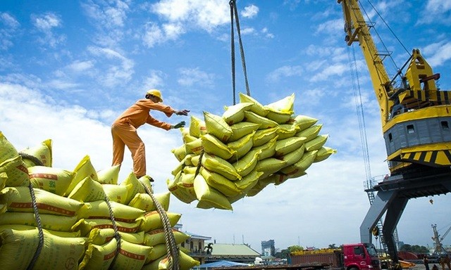 Les exportations vietnamiennes de riz affichent une croissance spectaculaire. Photo : NDT.vn