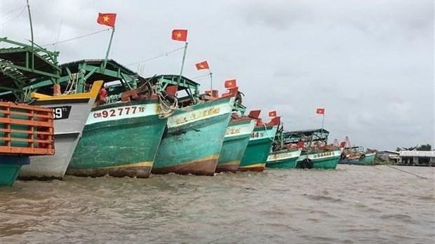 Des navires de pêche du Vietnam. Photo : VNA.