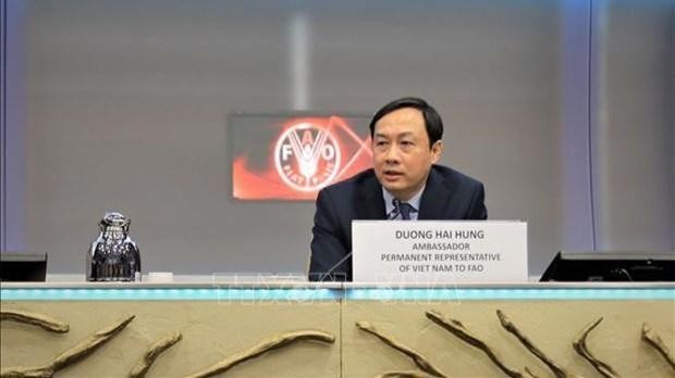 L'ambassadeur Duong Hai Hung. Photo: VNA