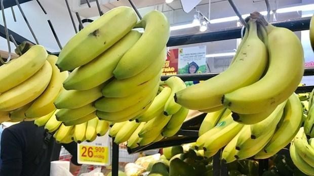 Le Vietnam a dépassé pour la première fois les Philippines en termes d'exportations de bananes vers la Chine. Photo: Vietnambiz