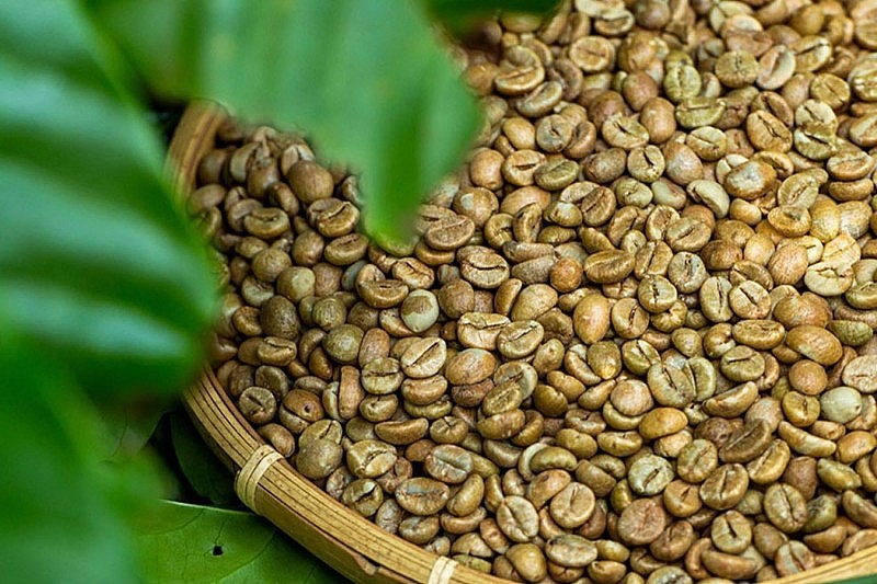 Au cours des 5 premiers mois de 2023, les exportations de café ont dépassé deux milliards de dollars. Photo: congthuong.vn