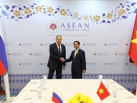 Les ministres Bùi Thanh Son (à droite) et Sergueï Lavrov. Photo : VNA.