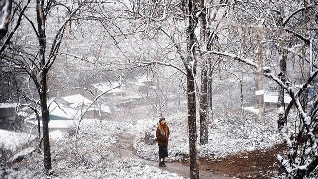 En hiver, la ville vire du vert au blanc, attire ceux qui veulent faire une randonnée relaxante sur le mont Fansipan ou la montagne Hàm Rông. Photo : Thetravel.