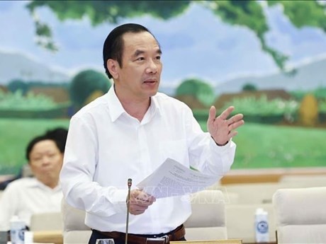 Le président de l'Association d'Amitié Vietnam - Malaisie, Ngô Sach Thuc. Photo : VNA.