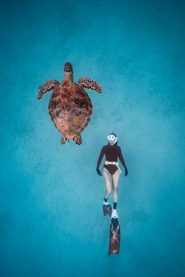 La photo "Turtle Dream" du photographe Nguyen Ngoc Thien. Photo : CPV
