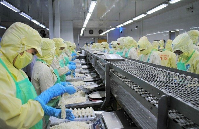 Dans une entreprise de transformation de crevettes pour l'exportation à Cà Mau. Photo : Vnexpress. 