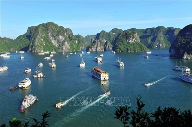 La baie de Ha Long, patrimoine mondial reconnu par l'UNESCO. Photo : VNA.