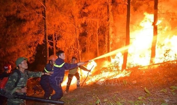 Des forces de la province de Hà Tinh (au Centre du Vietnam) s'efforcent d'éteindre un incendie de forêt. Photo : VNA.