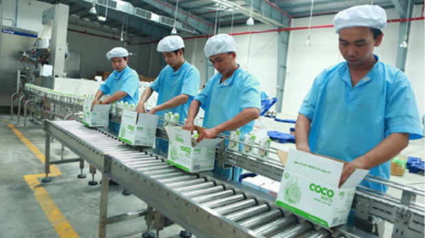 La valeur des exportations de produits dérivés de la noix de coco devrait atteindre 560 millions de dollars d'ici 2025. Photo: congthuong.vn