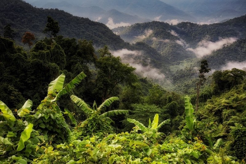 Photo: baotainguyenmoitruong.vn