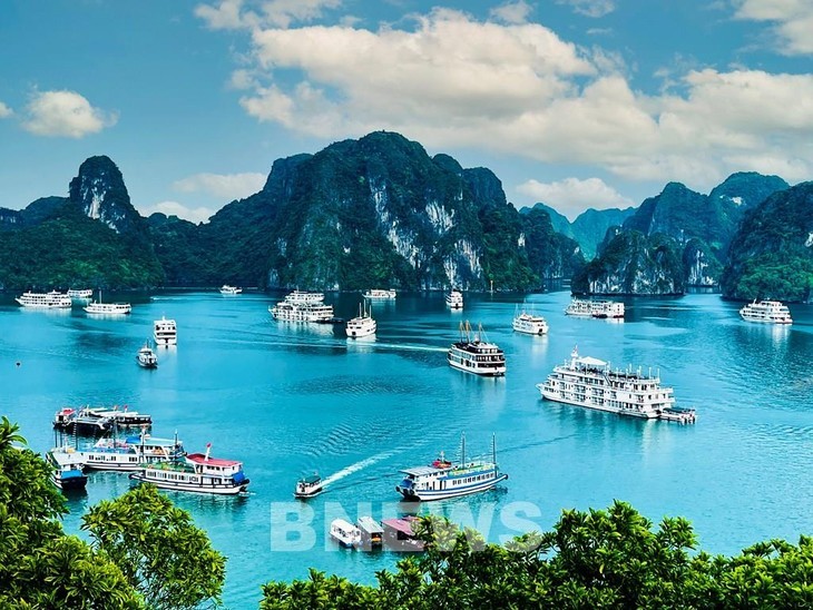 La baie de Ha Long et Cat Bà deviennent le tout premier patrimoine culturel mondial 