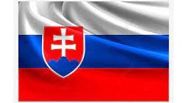 Le drapeau de la Slovaquie. Photo : https: fr.pngtree.com