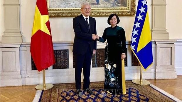 L'ambassadrice du Vietnam en Bosnie-Herzégovine Nguyên Thi Bich Thao a présenté ses lettres de créance au président du Conseil présidentiel de Bosnie-Herzégovine, Sefik Džaferović. Photo : VNA
