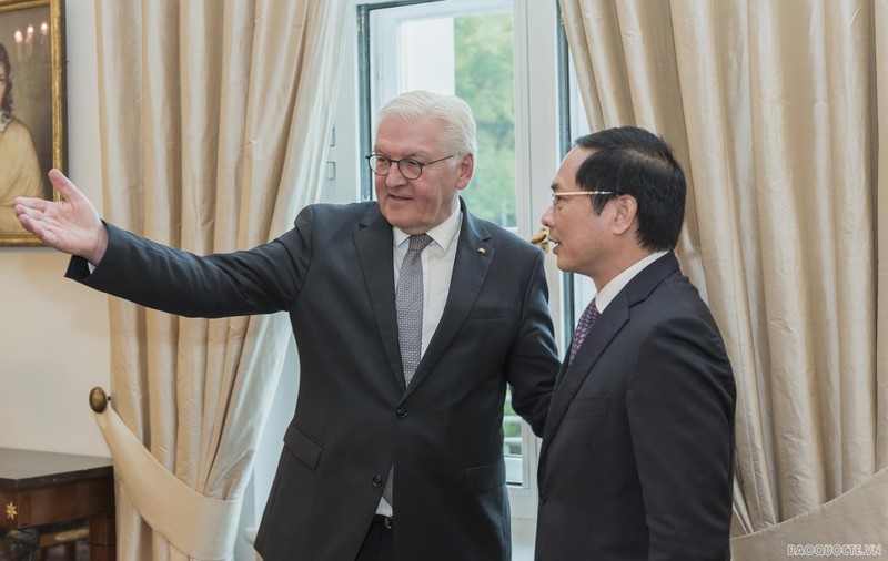 Le ministre vietnamien des Affaires étrangères, Bùi Thanh Son (à droite) et le Président allemand, Frank-Walter Steinmeier. Photo : baoquocte.vn