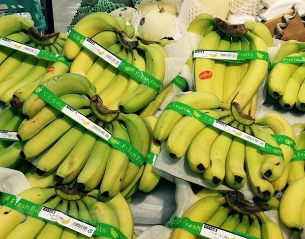 La Chine a augmenté ses importations de bananes en provenance du marché vietnamien au cours des neuf derniers mois de l’année. Photo : VNA.