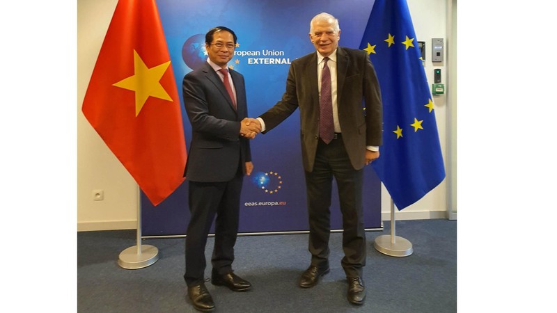 Le haut représentant de l’UE pour les Affaires étrangères et la Politique de sécurité et vice-président de la CE, Josep Borrell (à droite) et le ministre vietnamien des Affaires étrangères Bùi Thanh Son, le 13 décembre. Photo : VNA.