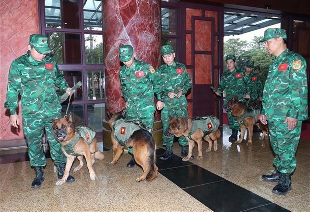 Des chiens effectuant le travail de sauvetage et de secourisme des gardes-frontières sont prêts à partir. Photo : VNA