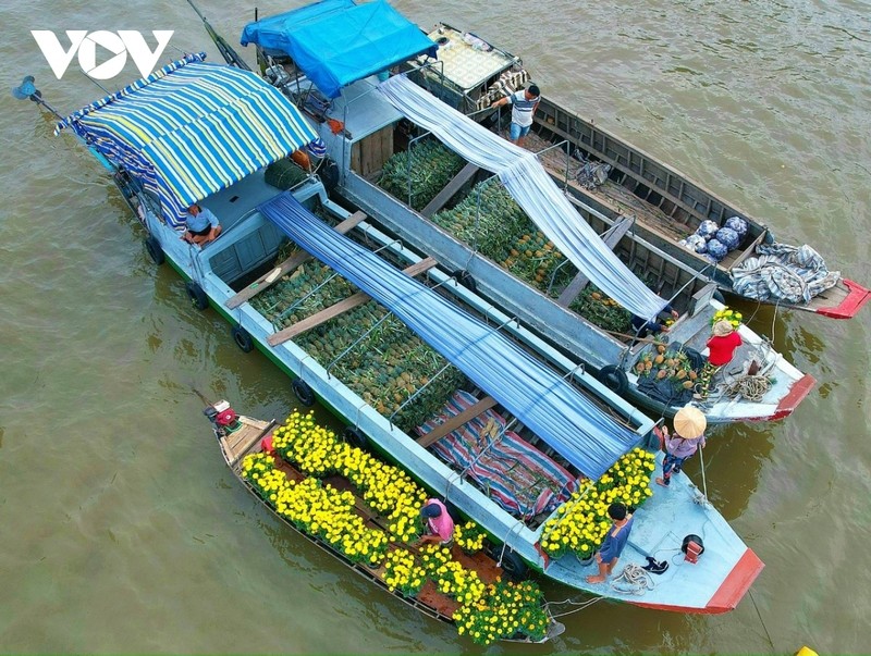 Le marché flottant de Cai Rang est l’une des destinations que les visiteurs ne doivent pas manquer lorsqu’ils se rendent dans la région du delta du Mékong. Photo : VOV.
