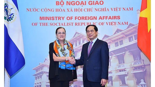 Le ministre des Affaires étrangères, Bùi Thanh Son, et son homologue salvadorienne, Alexandra Hill Tinoco. Photo : VNA.
