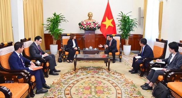 Le ministre vietnamien des Affaires étrangères Bui Thanh Son a reçu le 7 juillet à Hanoï Amal Abdel Kader Elmorsi Salama, ambassadrice d'Égypte au Vietnam. Photo : VNA