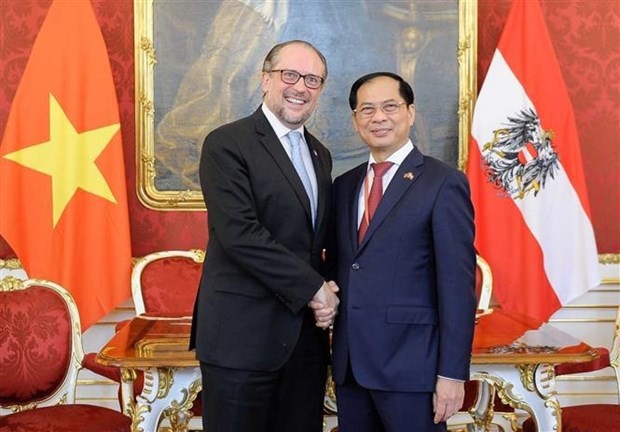 Le ministre vietnamien des Affaires étrangères, Bùi Thanh Son (à droite), et son homologue autrichien, Alexander Schallenberg. Photo : VNA.