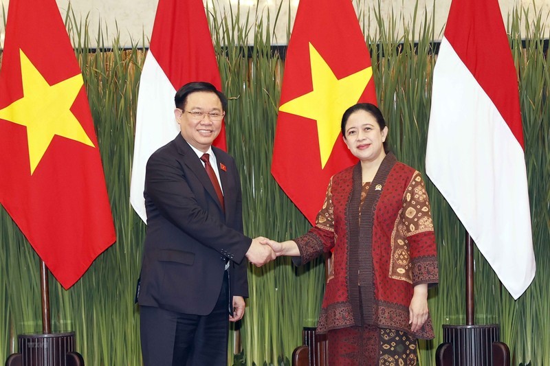 La Présidente du Conseil représentatif du peuple d’Indonésie, Puan Maharani et le Président de l’Assemblée nationale du Vietnam, Vuong Dinh Huê (à gauche). Photo : VNA.