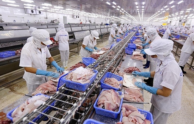 Chaque année, le Vietnam exporte environ 22 000 à 24 000 tonnes de fruits de mer vers les EAU. Photo : congthuong.vn