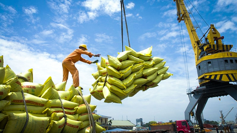 La suspension des exportations indiennes obligera les importateurs de riz britanniques à se tourner vers l’achat de riz vietnamien et thaïlandais. Photo : congthuong.vn
