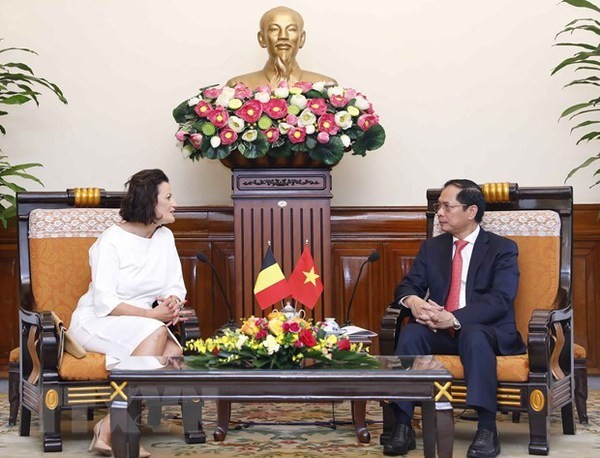 Le ministre vietnamien des Affaires étrangères, Bùi Thanh Son (à droite) reçoit la Pprésidente du Sénat belge, Stéphanie D'Hose. Photo : VNA.