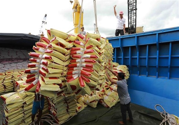 Le Vietnam a exporté un volume record de près de 6 millions de tonnes de riz au cours des huit premiers mois de 2023. Photo : VNA.