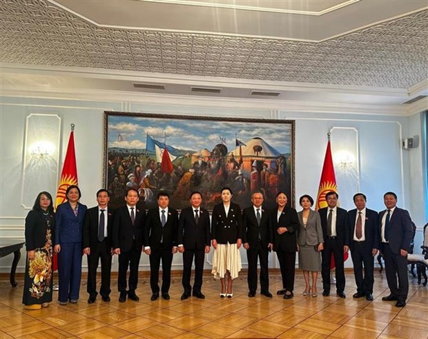 Le Vice-Président de l'AN Nguyên Khac Dinh (6e de gauche à droite), la vice-présidente du Conseil suprême du Kirghizistan, Dzhamilia Isaeva (7e de gauche à droite), et les délégués participant à l'entretien. Photo: VNA