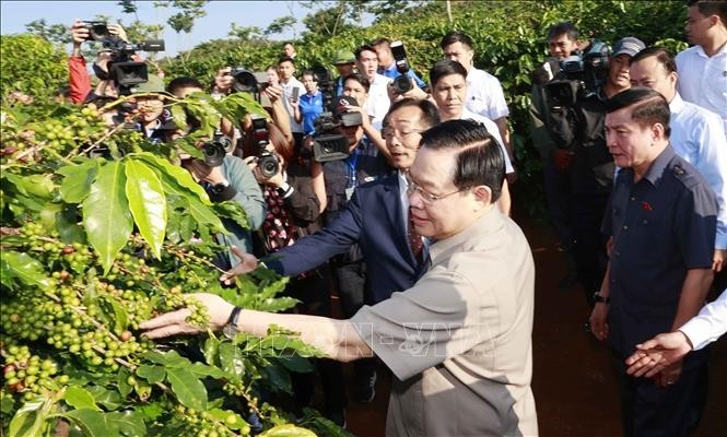 Le Président de l’Assemblée nationale Vuong Dinh Huê visite une plantation de café à Son La. Photo : VNA