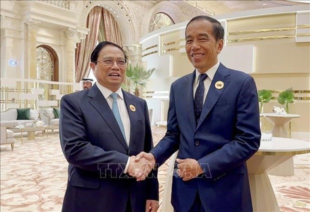 Le Premier ministre Pham Minh Chinh (à gauche) et le président indonésien Joko Widodo. Photo : VNA