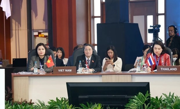 Le vice-président de l'Assemblée nationale, Nguyên Duc Hai, à la première séance plénière du 31e Forum parlementaire Asie-Pacifique. Photo : VNA.