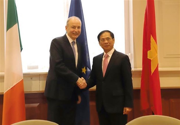 Le ministre vietnamien des Affaires étrangères Bùi Thanh Son (à droite) et le vice-Premier ministre irlandais, ministre des Affaires étrangères et ministre irlandais de la Défense Micheál Martin. Photo : VNA.