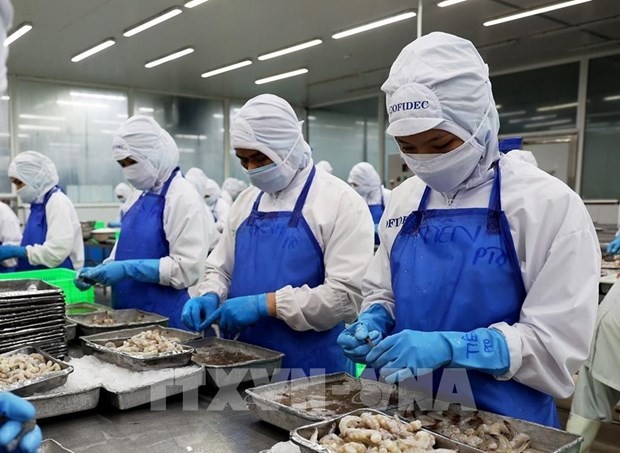 Le Vietnam a grimpé d'une place pour devenir le 5e exportateur de produits aquatiques vers Singapour pour la première fois au premier trimestre de cette année. Photo: VNA.