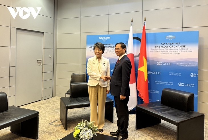 Le ministre vietnamien des Affaires étrangères Bùi Thanh Sơn et son homologue japonaise Kamikawa Yoko. Photo : VOV.