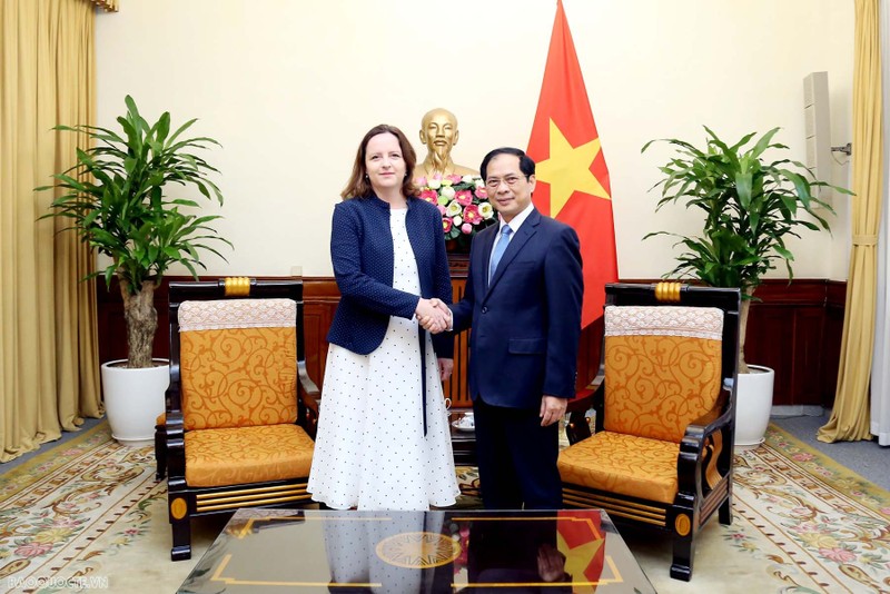 Le ministre des Affaires étrangères (AE) Bui Thanh Son rencontre Anna Krystyna Radwan-Röhrenschef, sous-secrétaire d'État au ministère polonais des AE. Photo : VNA.