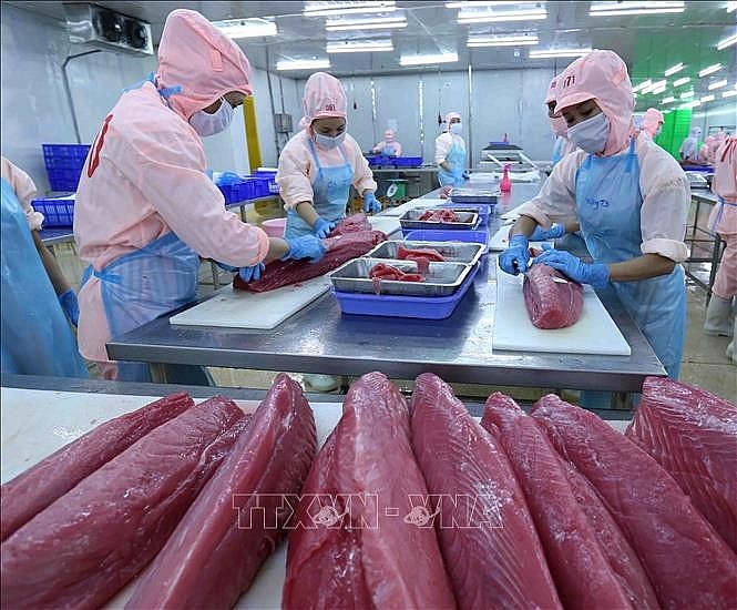 Rien qu'en avril 2024, les exportations de thon en conserve du Vietnam vers le marché américain ont augmenté de 127%, atteignant plus de 10 millions de dollars. Photo : congthuong.vn