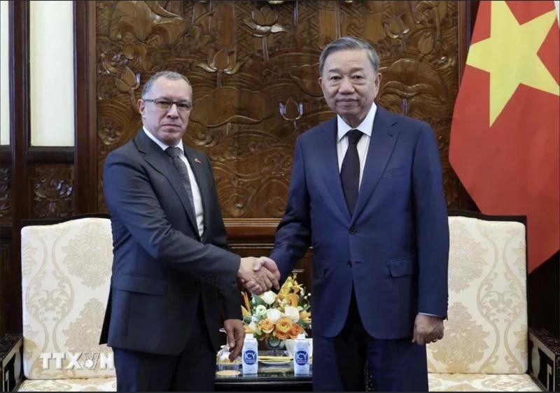 Le président Tô Lâm (droite) et l'ambassadeur de Colombie Miguel Ángel Rodríguez Melo. Photo : VNA.