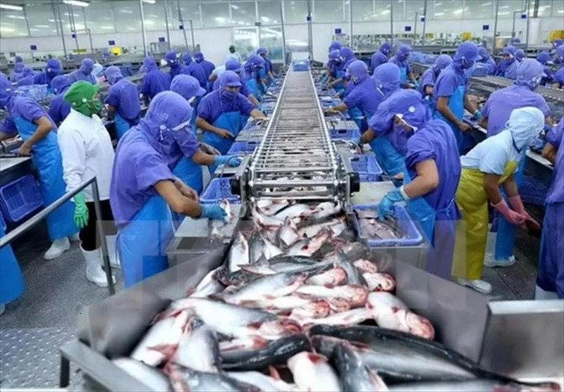 La valeur des exportations de pangasius du Vietnam vers les Émirats arabes unis en mai a atteint plus de 2 millions de dollars. Photo : congthuong.vn