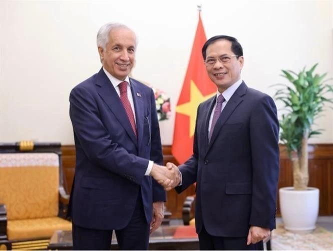 Le ministre vietnamien des Affaires étrangères, Bui Thanh Son (droite) et le ministre d'Etat aux Affaires étrangères de l'Etat du Qatar. Photo : VNA.