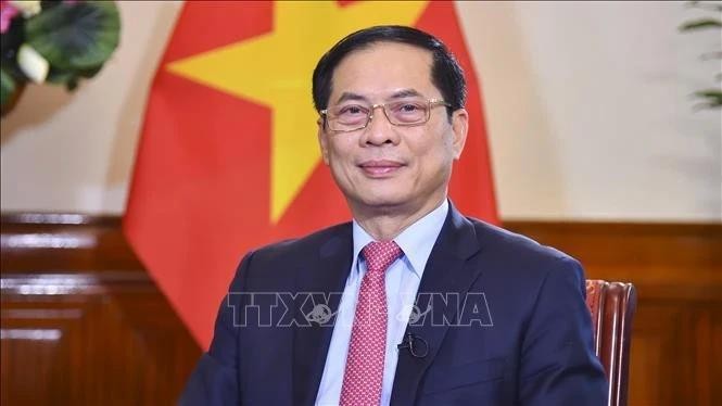 Le ministre vietnamien des Affaires étrangères Bui Thanh Son. Photo : VNA.