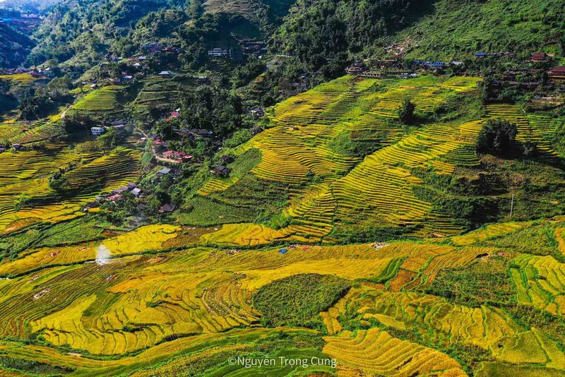 La vallée de Muong Hoa est connue comme le « grand grenier » du chef-lieu de Sa Pa avec ses grands champs en terrasses. Photo : Nguyen Trong Cung.