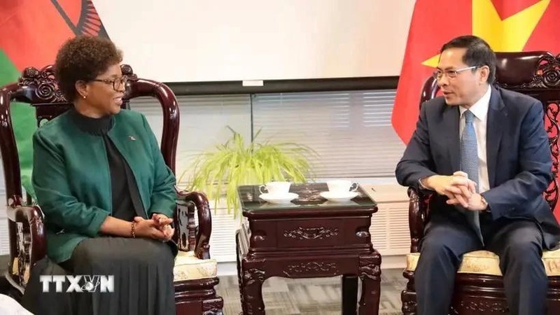 La ministre des Affaires étrangères du Malawi, Nancy Tempo, et le vice-Premier ministre et ministre vietnamien des Affaires étrangères, Bui Thanh Son. Photo : VNA.