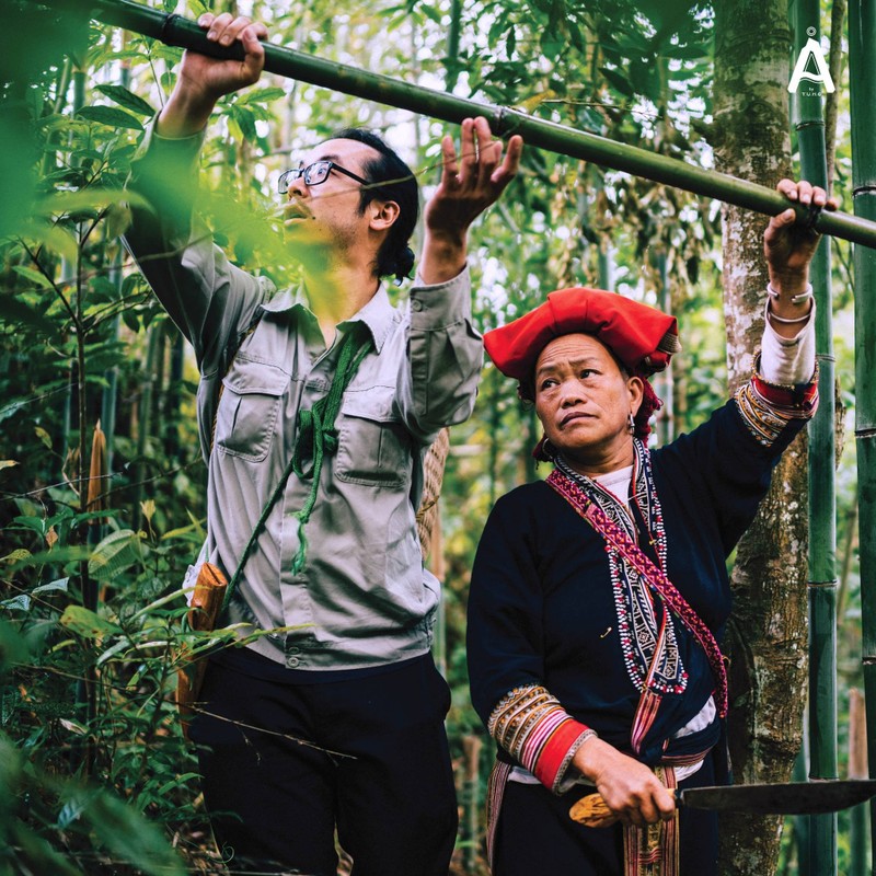 Daniel Nguyen Hoai Tien (à gauche) lors de son voyage à la recherche d'herbes dans la forêt du Nord-Ouest. Photo : thoidai.com.vn