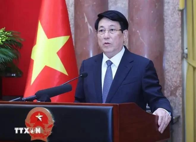 Le président vietnamien, Luong Cuong. Photo : VNA.