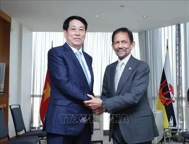 Le président Luong Cuong (gauche) et le sultan de Brunei, Hassanal Bolkiah. Photo : VNA.