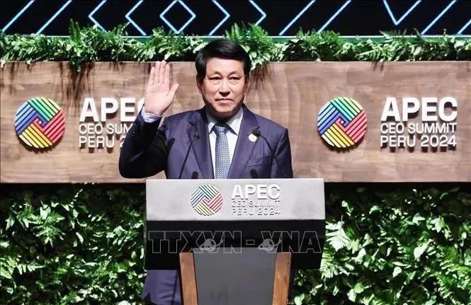 Le président Luong Cuong assiste à l’ «APEC CEO Summit 2024». Photo : VNA.