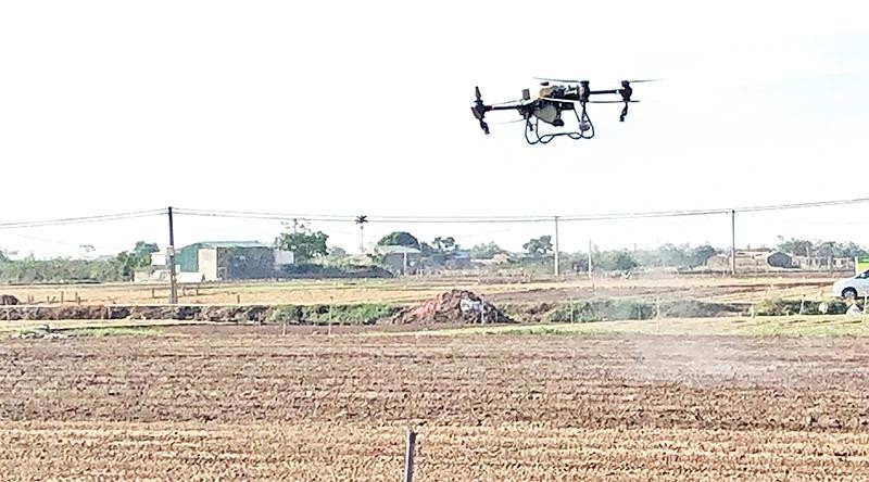 Utilisation d'une véhicule aérien sans pilote (drone) pour pulvériser des pesticides dans la production agricole à Hai Duong. Photo : NDEL.